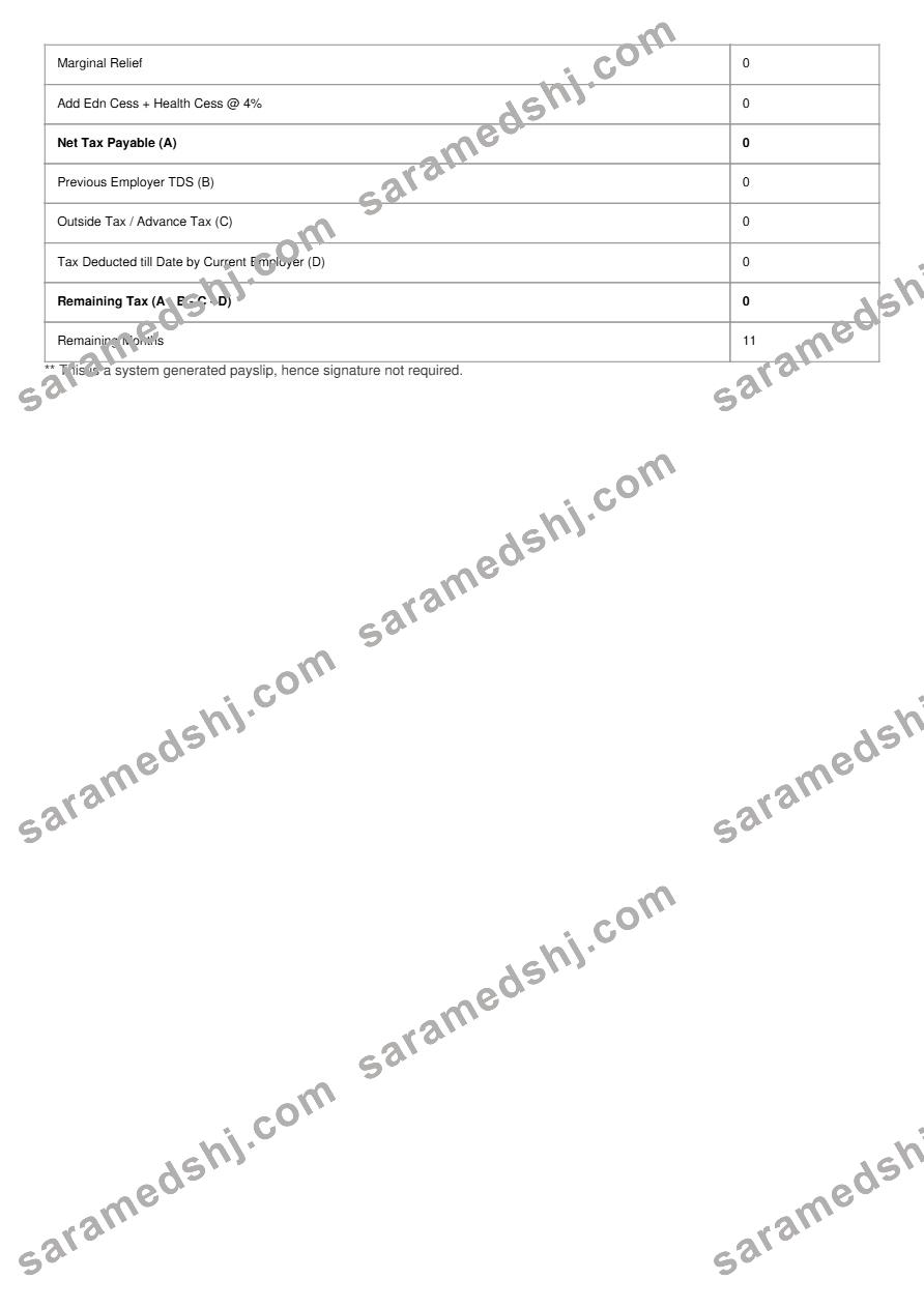 AU Small Finance Bank salary slip template in Word and PDF formats.pdf, 3